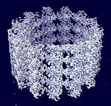 microtuble